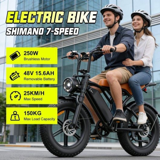 Bicicleta Eléctrica Toofly G20 250W 48V 15,6Ah 20×4