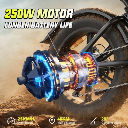 Bicicleta Eléctrica Toofly G20 250W 48V 15,6Ah 20×4