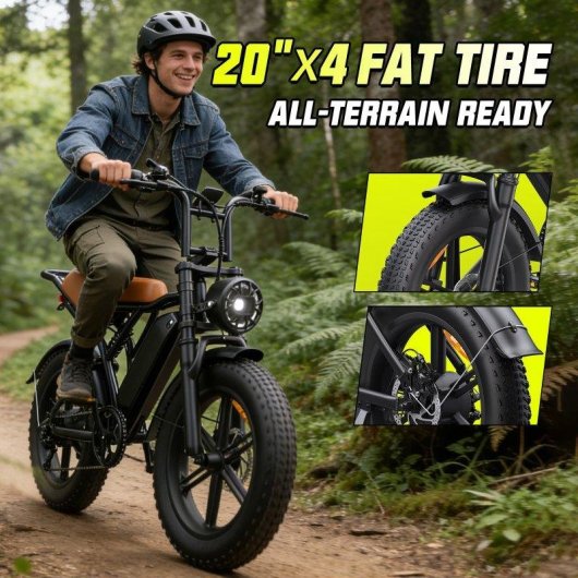 Bicicleta Eléctrica Toofly G20 250W 48V 15,6Ah 20×4