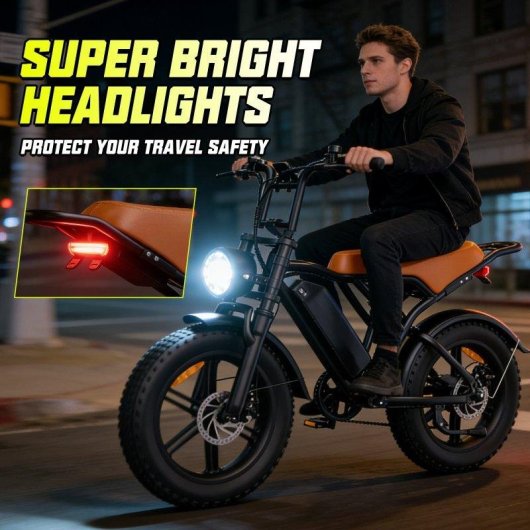 Bicicleta Eléctrica Toofly G20 250W 48V 15,6Ah 20×4