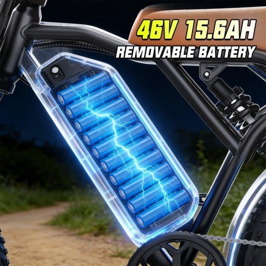 Bicicleta Eléctrica Toofly G20 250W 48V 15,6Ah 20×4