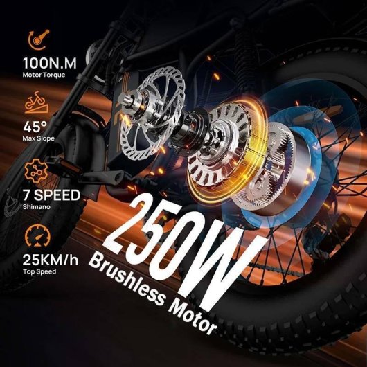 Bicicleta Eléctrica URLIFE T2 250W 48V 15.6Ah 120 km Autonomía 20" Fat