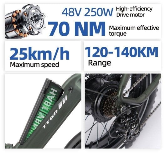 Bicicleta Eléctrica TTGO F6 Boost 250W 48V 18Ah 20"
