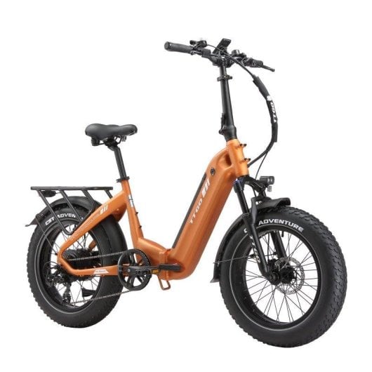 Bicicleta eléctrica TTGO F6 Boost 250 W 48 V 18 Ah 20 x 4,0"