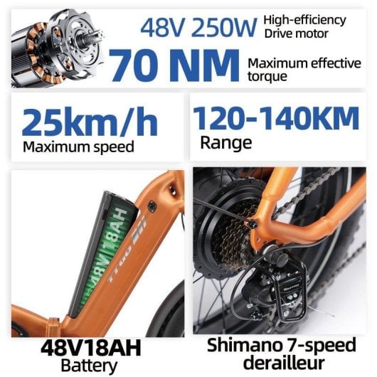 Bicicleta eléctrica TTGO F6 Boost 250 W 48 V 18 Ah 20 x 4,0"
