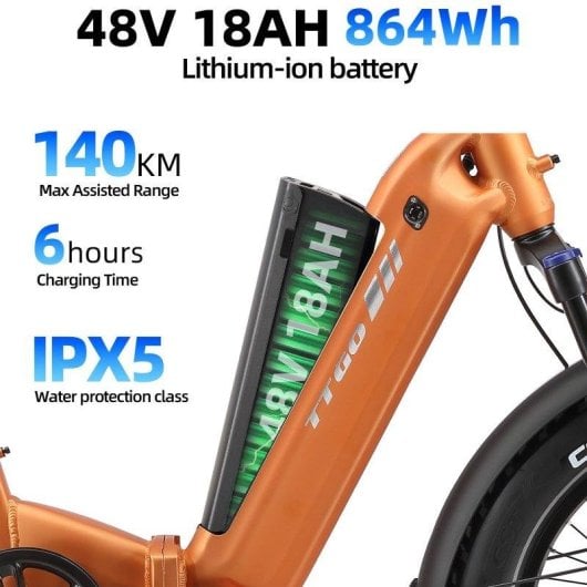 Bicicleta eléctrica TTGO F6 Boost 250 W 48 V 18 Ah 20 x 4,0"