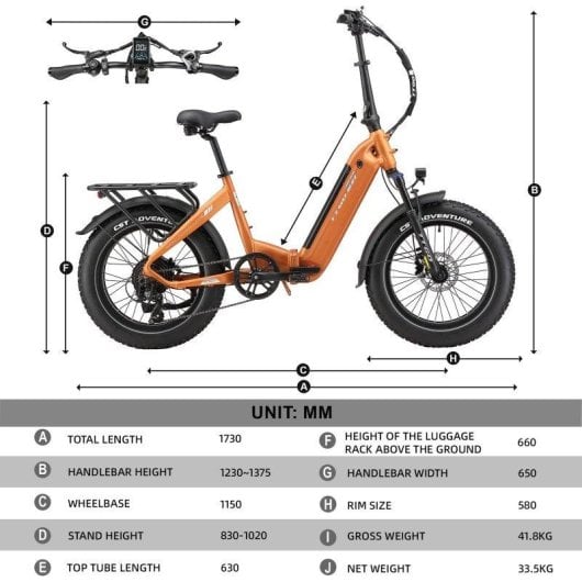 Bicicleta eléctrica TTGO F6 Boost 250 W 48 V 18 Ah 20 x 4,0"
