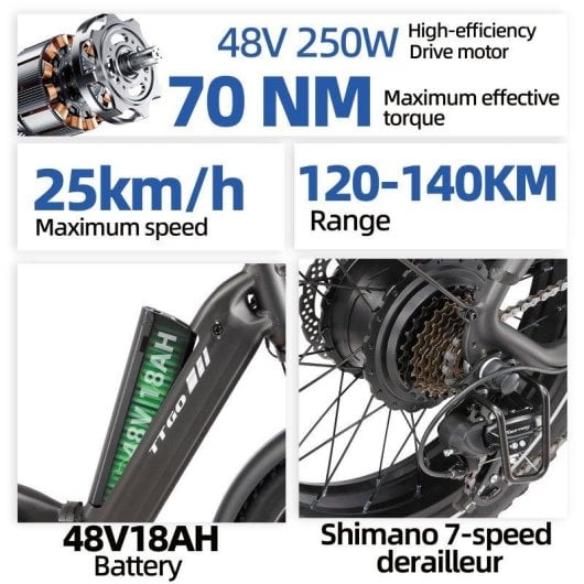 Bicicleta eléctrica TTGO F6 Boost 250 W 48 V 18 Ah 20 x 4,0" neumáticos anchos