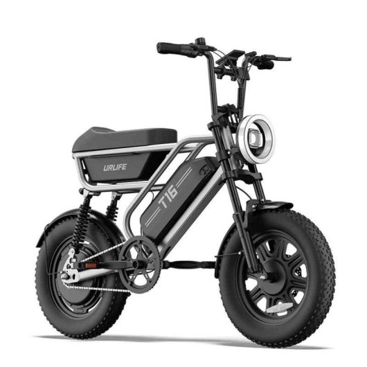 URLIFE T16 Bicicleta Eléctrica Todoterreno 250W/48V 13Ah/Pantalla LCD