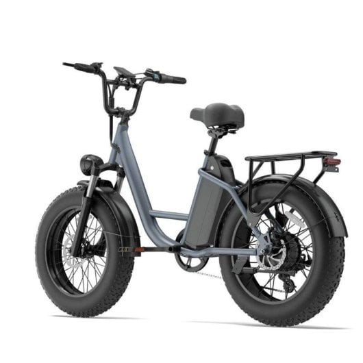 Bicicleta eléctrica URLIFE E20 Pro 1500 W 48 V 15,6 Ah 20 x 4"