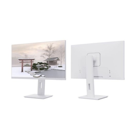 Monitor JAPANNEXT 23,8" QHD IPS USB-C 65 W KVM blanco