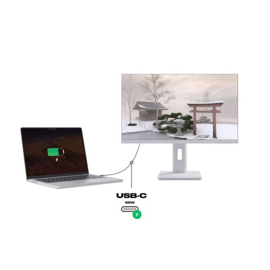 Monitor JAPANNEXT 23,8" QHD IPS USB-C 65 W KVM blanco