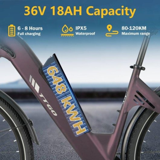 Velo electrique TTGO C3 SE 28 pouces 36V 250W