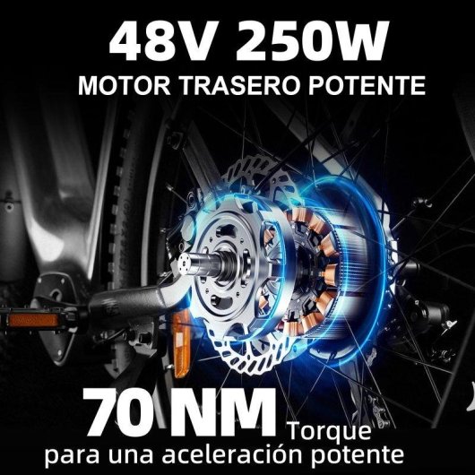 Bici elettrica urbana TTGO Z3 48V 250W 27,5 pollici