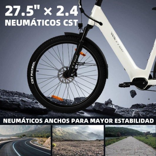 Bicicletta Elettrica Urbana TTGO Z3 48V 250W