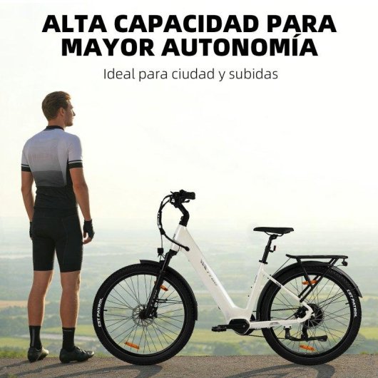 Bicicletta Elettrica Urbana TTGO Z3 48V 250W