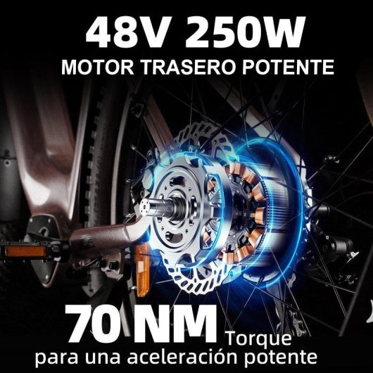 Bicicletta elettrica TTGO Z3 48V 250W Autonomia 120km