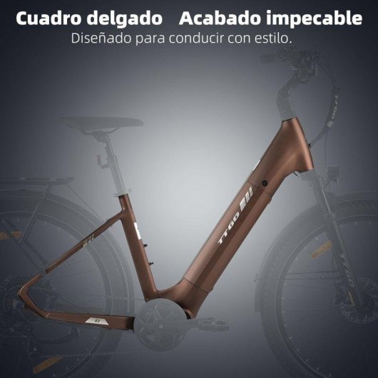 Bicicletta elettrica TTGO Z3 48V 250W Autonomia 120km