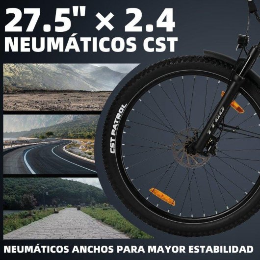 Bicicletta elettrica TTGO Z3 48V 250W Autonomia 120km