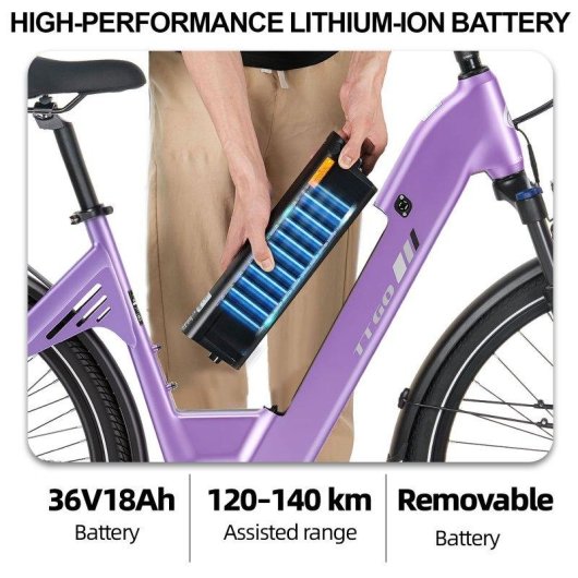 Bicicletta Elettrica TTGO C7 SE Motore Centrale 250W