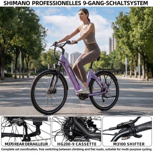 Bicicletta Elettrica TTGO C7 SE Motore Centrale 250W