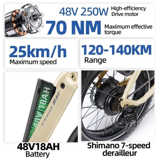 Bicicleta eléctrica TTGO F6 Boost 250W 48V 18Ah 20" suspensión todoterreno