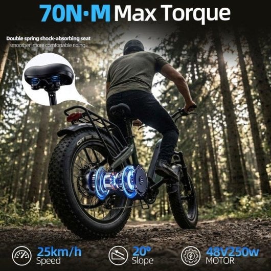 Bicicleta electrica TTGO F6 BOOST 250W 48V 18Ah
