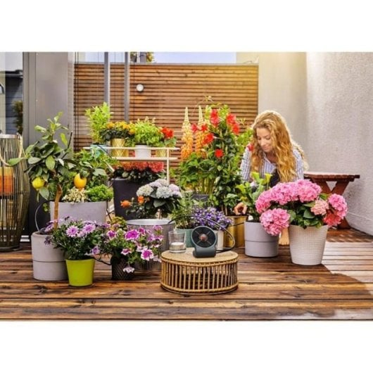 Set de riego solar GARDENA AquaBloom con depósito de agua 10,5 l
