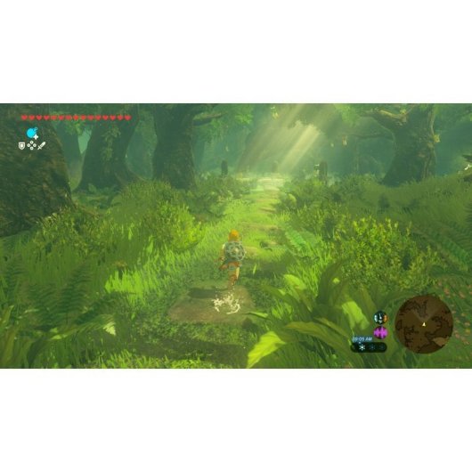 Zelda Breath of the Wild Nintendo Switch 2 Edition + Funda Ardistel Deluxe Travel Zelda