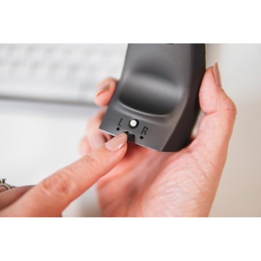 Ratón BakkerElkhuizen DXT Precision Wireless 2000 DPI Negro Gris Ambidextro