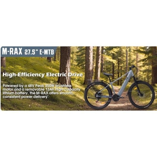 Vélo électrique Cysum M-rax 350w 48v 13ah 27,5" pneus tout-terrain gris