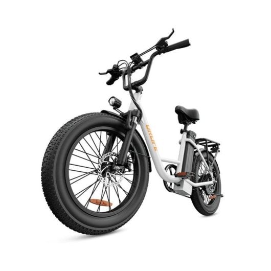 Velo Electrique Urlife E20 250W 48V13Ah 20 pouces