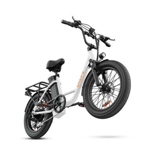 Velo Electrique Urlife E20 250W 48V13Ah 20 pouces