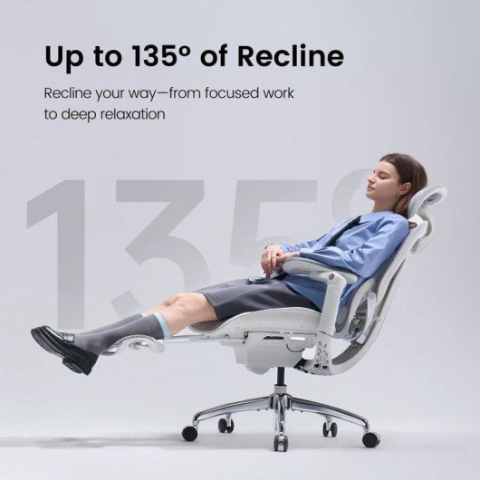 Sihoo C300 Pro V2 Chaise ergonomique, soutien lombaire auto ajuste