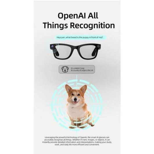 Brille ERVPES G300 Kamera 1080p KI Übersetzung 22 Sprachen Himmelblau
