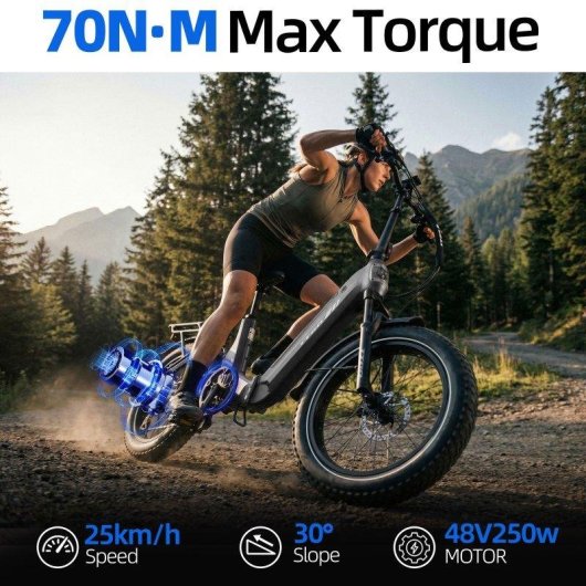 Velo electrique TTGO F7 250W 48V 15Ah 20 pouces