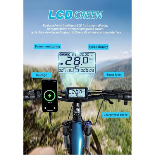 Bicicleta Eléctrica Puluma PH001 250W/1000W 48V 20Ah Azul