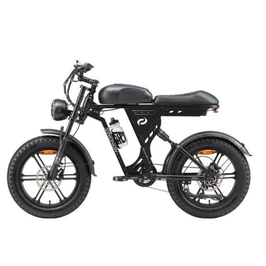 Bicicleta Eléctrica Sinohon AB20 1000W 48V 18Ah Off-road