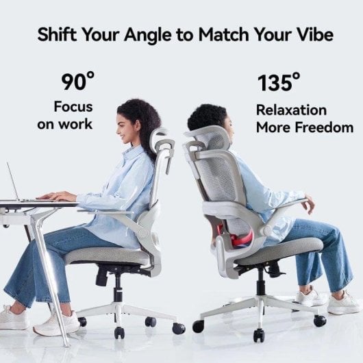 Cadeira Sihoo B100 SE Ergonomica com Apoio Lombar e Braços Abatíveis, Cinzento