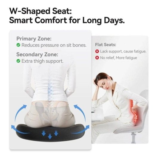 Cadeira Sihoo B100 SE Ergonomica com Apoio Lombar e Braços Abatíveis, Cinzento