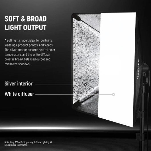 Set de Iluminación Neewer NK200 con Softbox 24" y Lámparas LED 35W