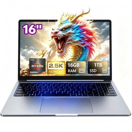 Ordinateur portable Ninkear A15 Pro 16 pouces AMD Ryzen 5 5500U 1 To SSD 16 Go QHD Radeon Graphics Windows 11