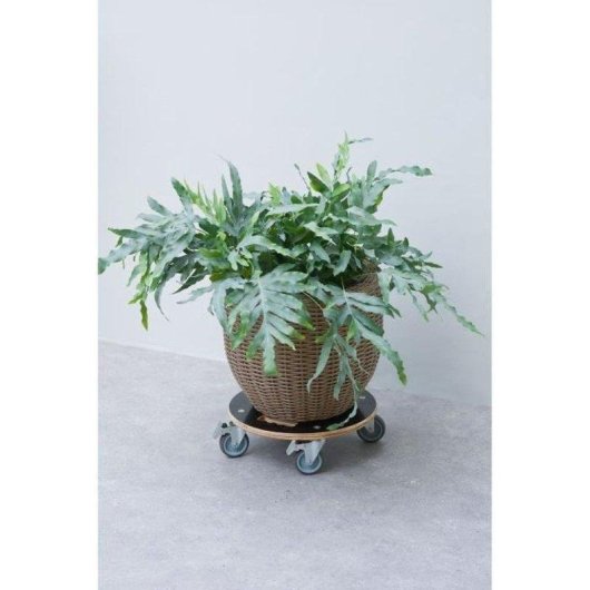 Desserte rotative Nature pour plantes diametre 38 cm FSC