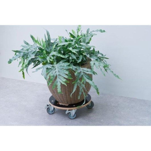 Desserte rotative Nature pour plantes diametre 38 cm FSC