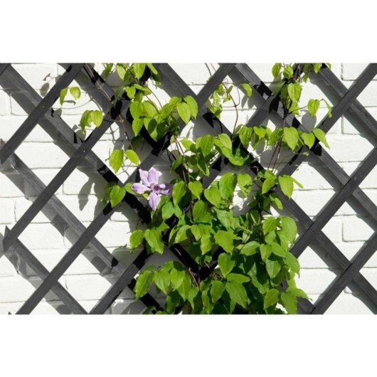 Celosia de Jardim Extensivel Nature 50x150 cm Madeira FSC antracite Malha 12 cm