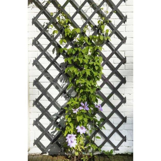 Celosia de Jardim Extensivel Nature 50x150 cm Madeira FSC antracite Malha 12 cm