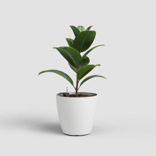 Pot de fleurs Artevasi San Remo SWS 42 MA Blanc Mat Avec Arrosage Automatique