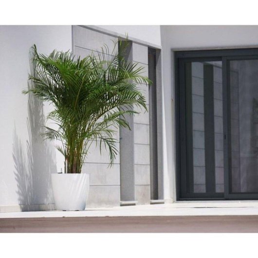 Pot rond San Remo SWS 36 BR Artevasi Arrosage Automatique