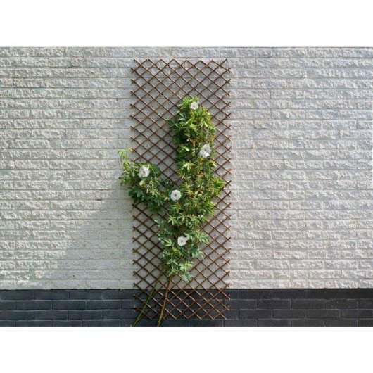 Ausziehbares Rankgitter Nature FSC Braun Metallstift 60x180
