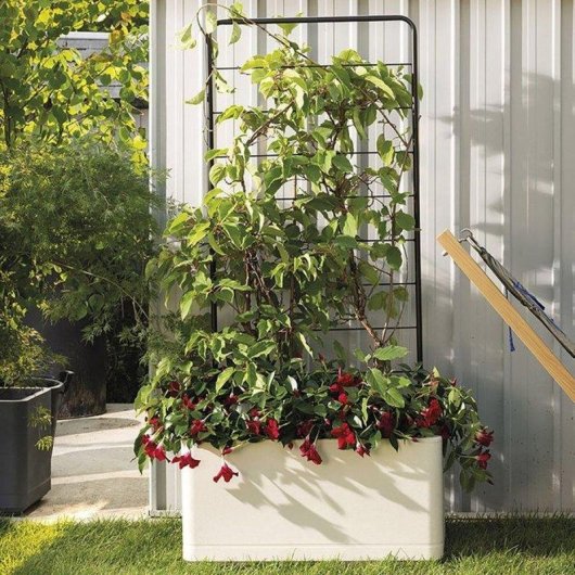 Support de Plantes Deroma Cosmo Gris 78 x 163 cm pour Plantes Grimpantes